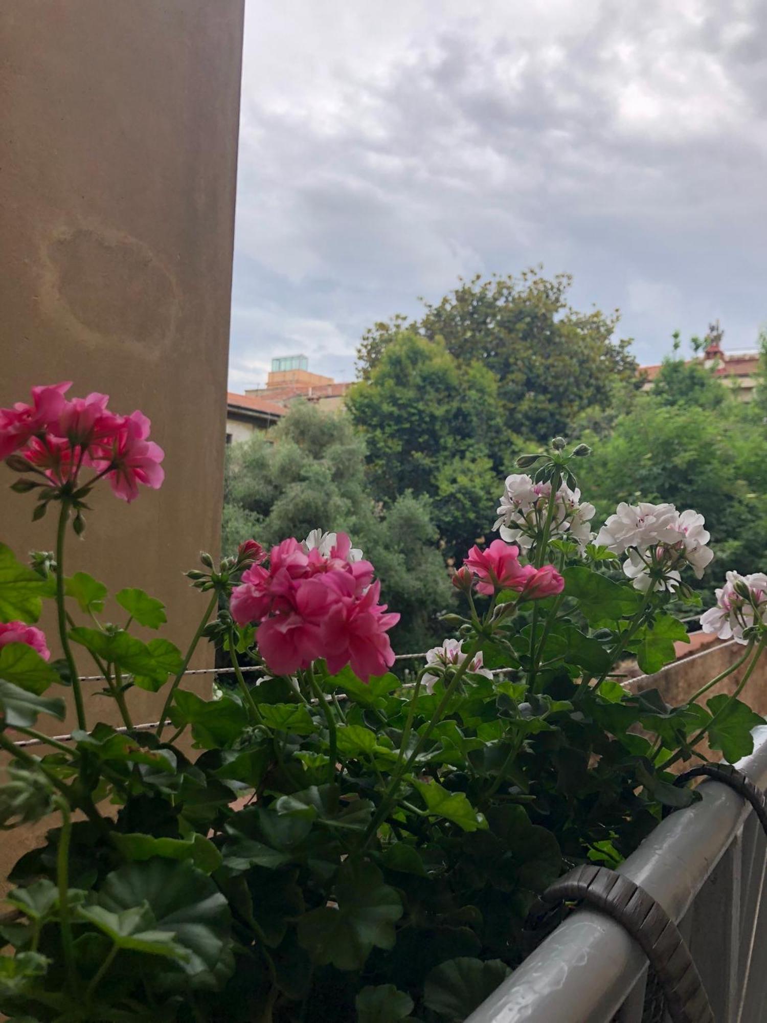 Sonnino House Apartman Pisa Kültér fotó